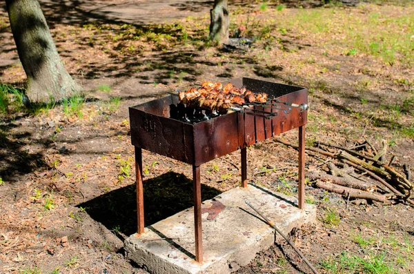 Barbekü doğada yemek.