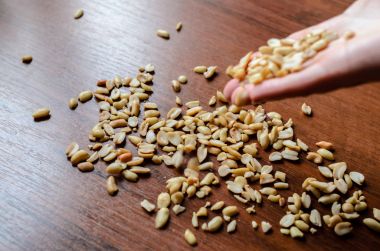 Masanın üzerine dökülen fıstık.