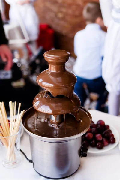 Vibrant Picture of Chocolate Fountain Fontain on childen kids birthday party with a kids playing around and marshmallows and fruits dip dipping into fountain