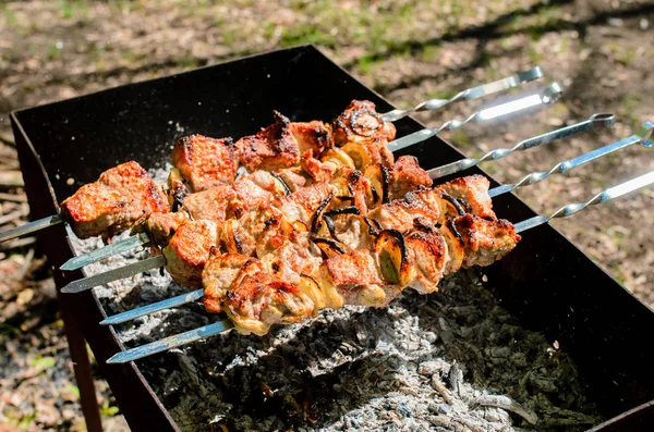 Барбекю в лесу Шашлык на природе. Процесс приготовления мяса на барбекю, крупным планом. Барбекю с мясом в металлической решетке, закрытый в лесу с травой — стоковое фото