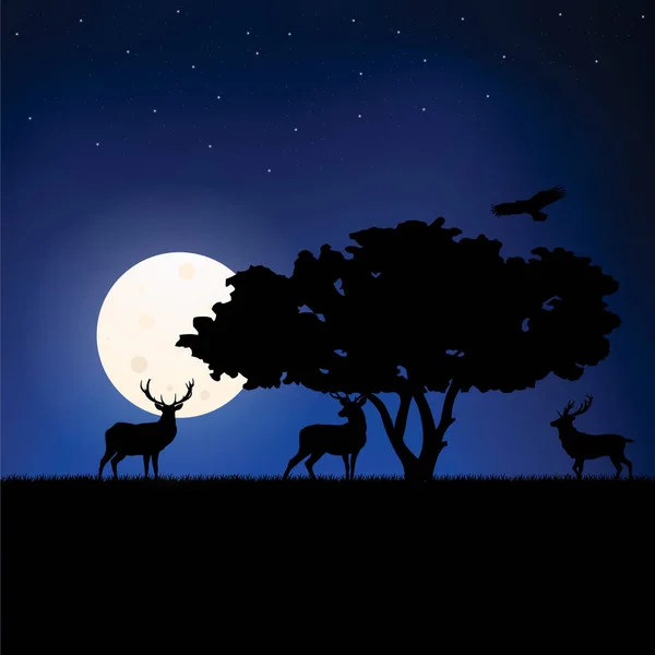 Heard Deer Night — Stock Vector