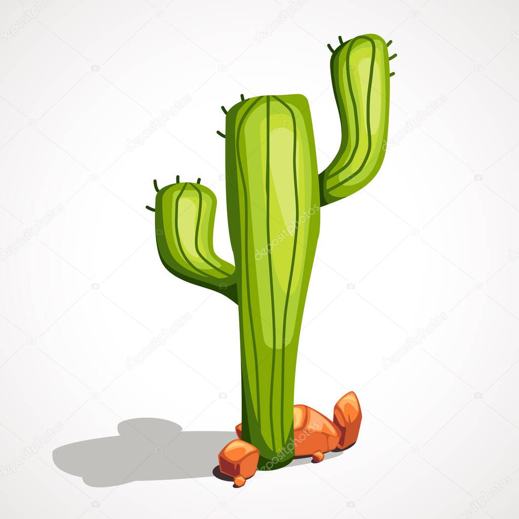 Cartoon desert green cactus and stones. Vector illustration.