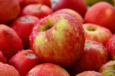 Markette veya süpermarkette bir sürü elma var. Elma topluyorum