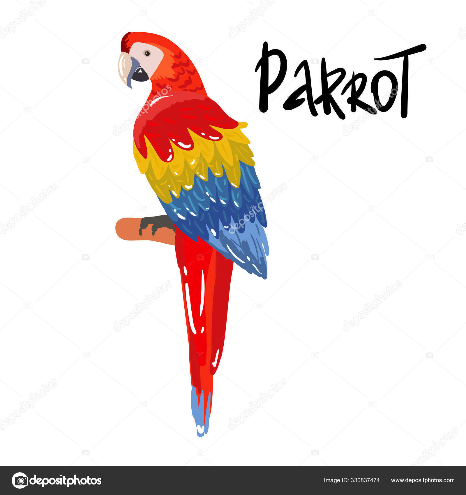 Drawing Pencil Parrot Royalty-Free Images, Stock Photos & Pictures |  Shutterstock