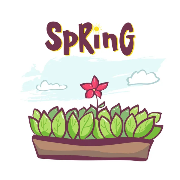 Üdvözlőlap Vagy Meghívó Tavasz Virággal Fazékban Bannernek Partik Doodle Kéz — Stock Vector