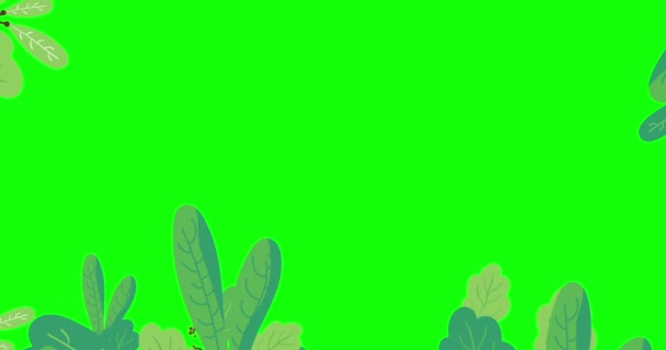 Marco de fondo de hojas pantalla verde. Hojas de árboles. Animación de diseño de movimiento mínimo. Gráficos abstractos en estilo de moda . — Vídeo de stock