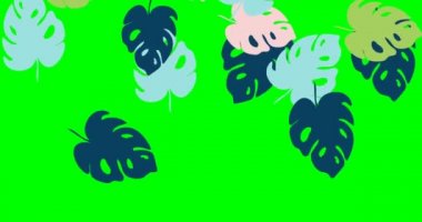 Tropik soyut canavar desenli animasyon bırakır. Yeşil ekran dalları ve tropikal bitki yaprakları videosu. Kapak tasarımı stok görüntüleri 4k