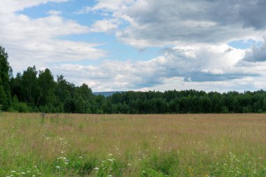 Güzel manzara orman ve bulutlar arka plan üzerinde