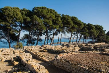 Emporda, ağaçlar ve deniz Greco Roma Harabeleri