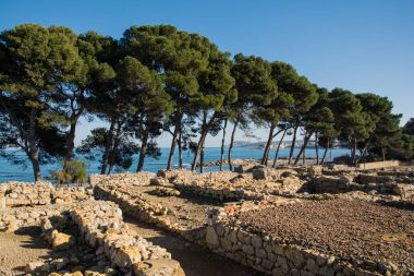 Greco roman ruins of Emporda, trees and sea clipart