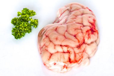 closeup of a brain with Parsley clipart