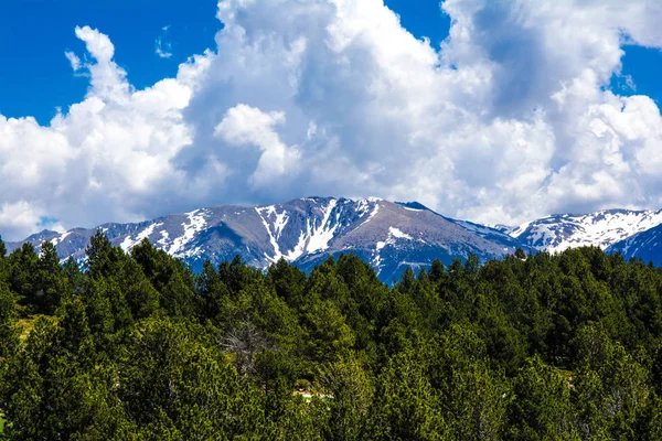 Landscape of forest and mountains — Stock Photo, Image