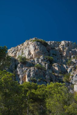 Kaya oluşumu ve çam ağaçlarının Costa Brava