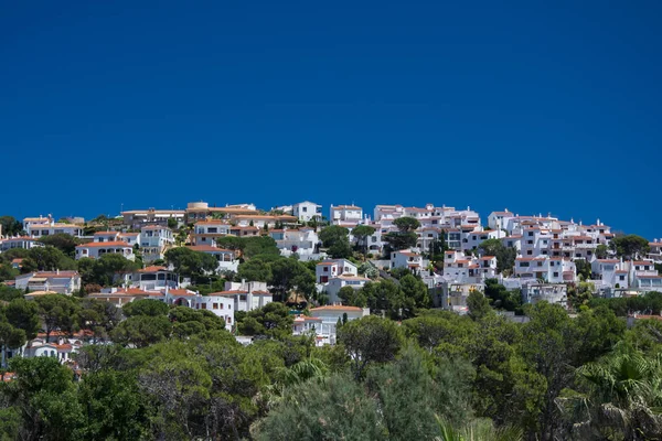 Witte huizen en dennen op Montgo heuvel — Stockfoto