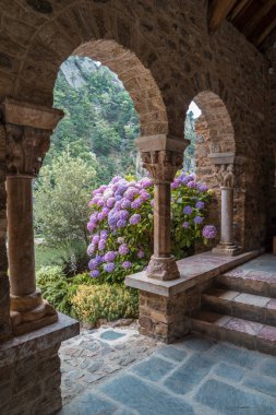Hydrangeas bush and arch in the Romanesque Abbey of Saint Martin clipart
