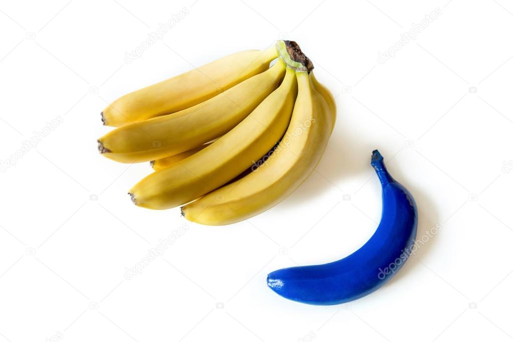 Colorful bananas collection  