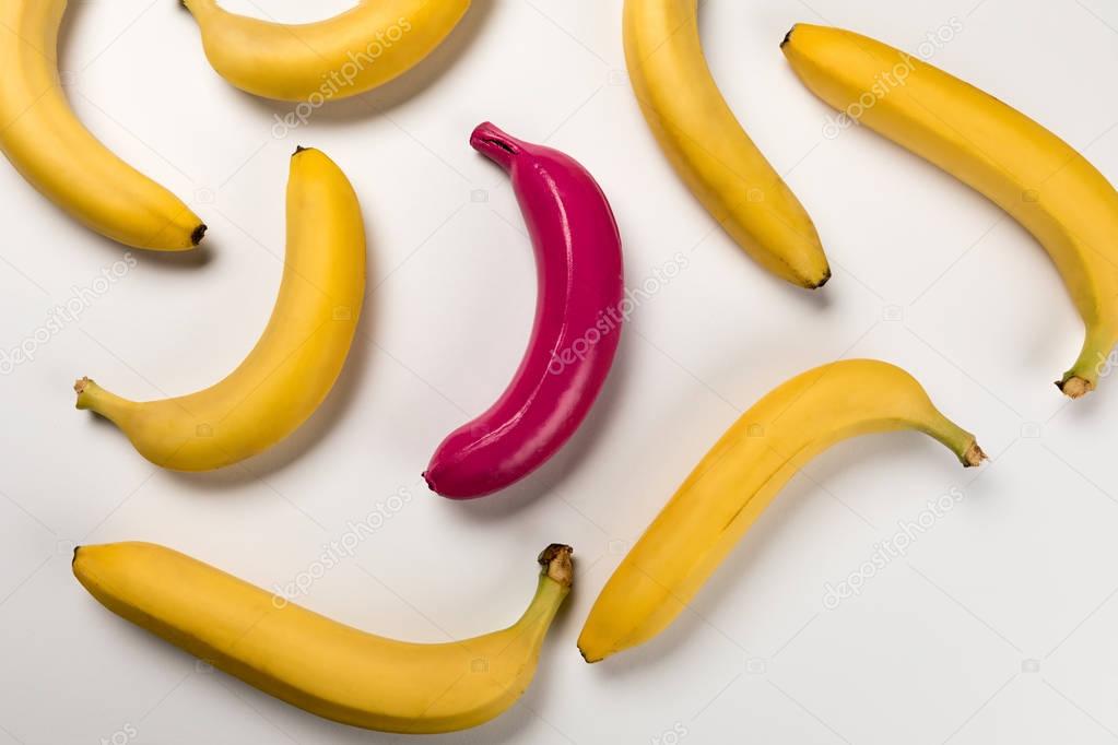 Colorful bananas collection  