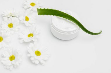  Aloe Vera bitki ve doğal krem
