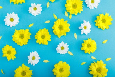 Beautiful yellow and white flowers clipart