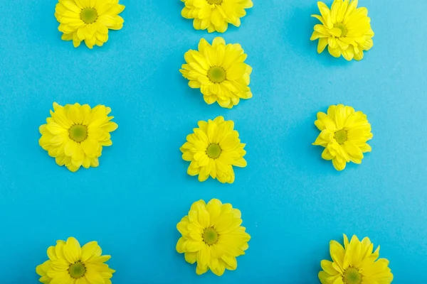 Schöne gelbe Blumen — Stockfoto