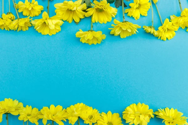 Beautiful yellow flowers — Stock Photo, Image