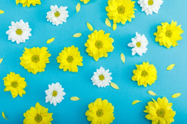 Beautiful yellow and white flowers — Stock Photo, Image