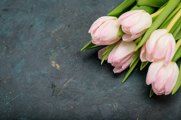 Beautiful tender tulips — Stock Photo, Image