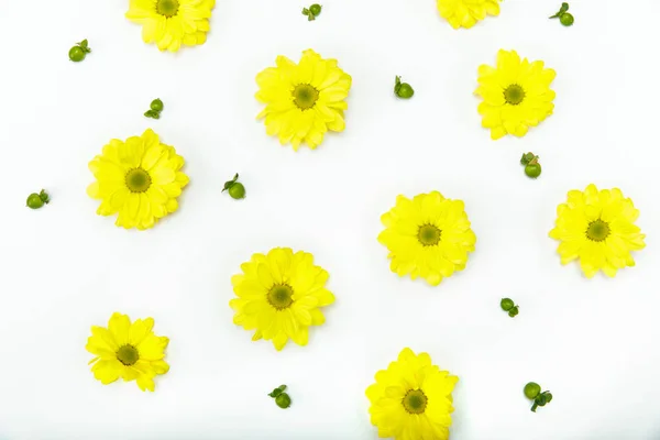 Belles fleurs jaunes — Photo