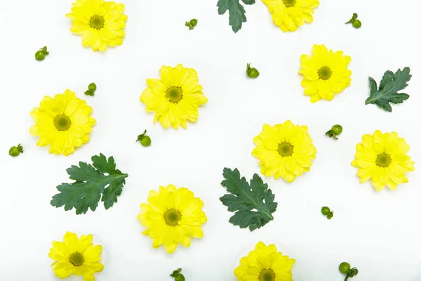Piękne żółte kwiaty — Zdjęcie stockowe