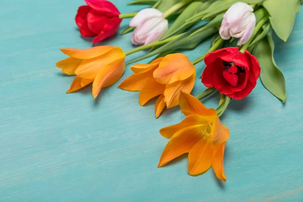 Krásná nabídka tulipány — Stock fotografie