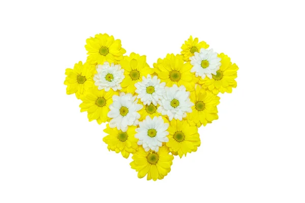 Piękne żółte i białe kwiaty — Zdjęcie stockowe