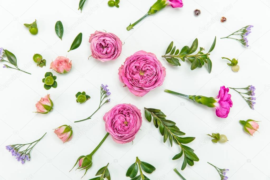 Beautiful pink roses