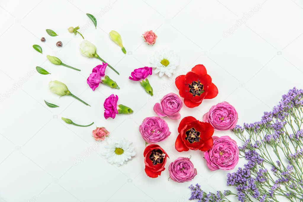 Beautiful blooming flowers