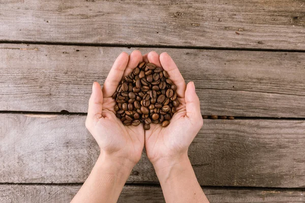 Кофейные зерна в руках — стоковое фото