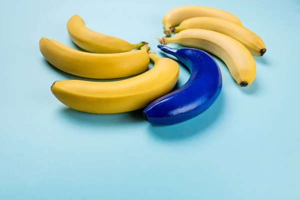 Bunte Bananen-Kollektion — Stockfoto