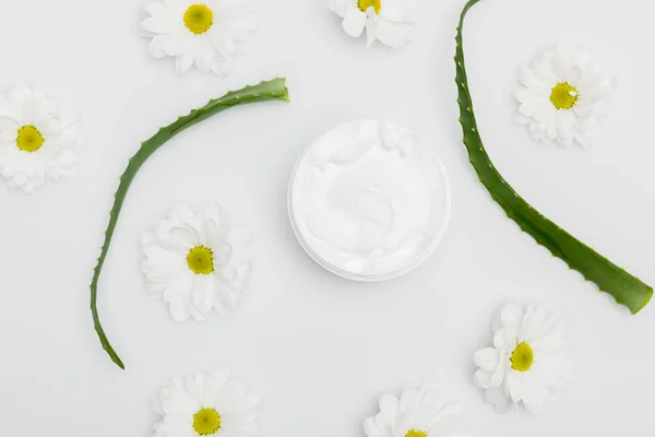 Aloe Vera plant and natural cream — Stock Photo