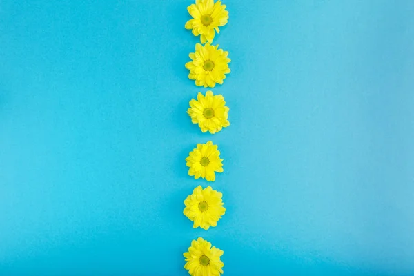 Hermosas flores amarillas - foto de stock