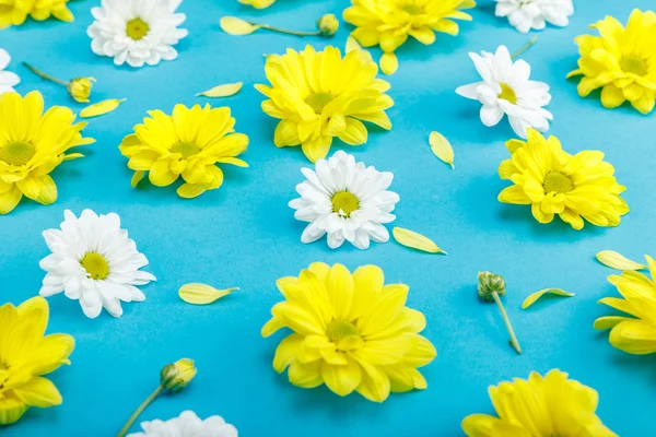 Belles fleurs jaunes et blanches — Photo de stock