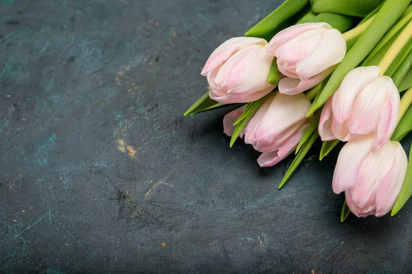 Belles tulipes tendres — Photo de stock