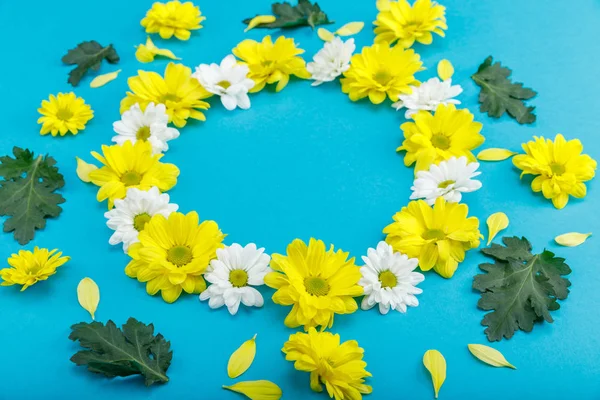 Lindas flores amarelas e brancas — Fotografia de Stock