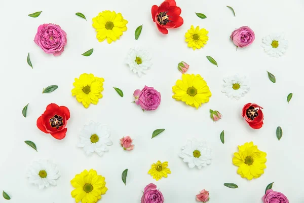 Hermosas flores en flor - foto de stock