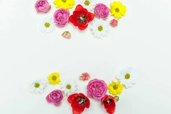 Beautiful blooming flowers — Stock Photo