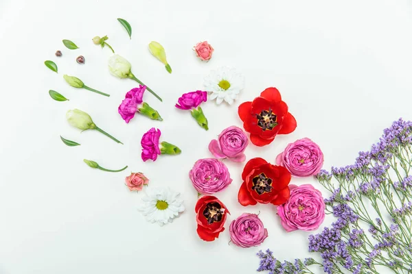 Hermosas flores en flor - foto de stock