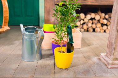 Close-up view of potted plant and watering can on porch clipart
