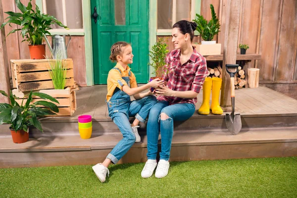 Feliz madre e hija con planta en maceta sentadas juntas en el porche y sonriendo entre sí — Foto de Stock