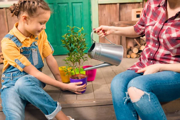 Cropped shot of mother and daughter sitting on porch and watering plant — Free Stock Photo