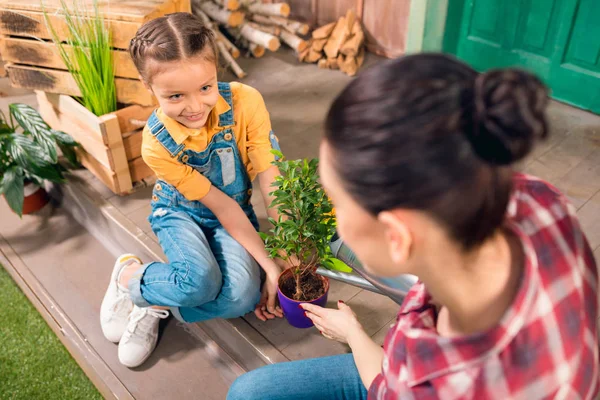 High angle view of mother and smiling daughter sitting on porch and watering plant — Stock Photo, Image