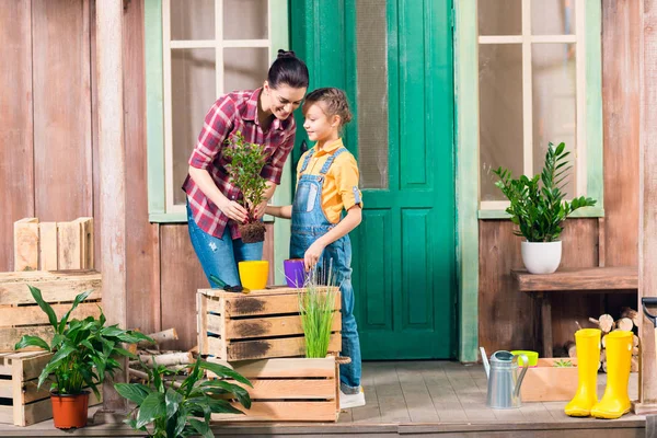 Sonriente madre e hija quitando la planta y hablando en el porche —  Fotos de Stock