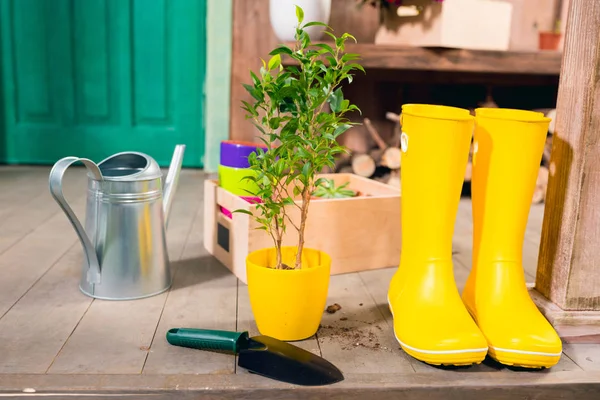 Regando lata, botas amarelas, planta e caixa de madeira na varanda — Fotografia de Stock