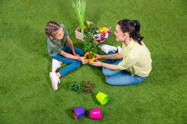 Madre e hija con plantas y macetas sentadas sobre hierba verde —  Fotos de Stock